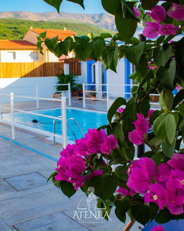 Apartamentos Atenea Jerte Εξωτερικό φωτογραφία