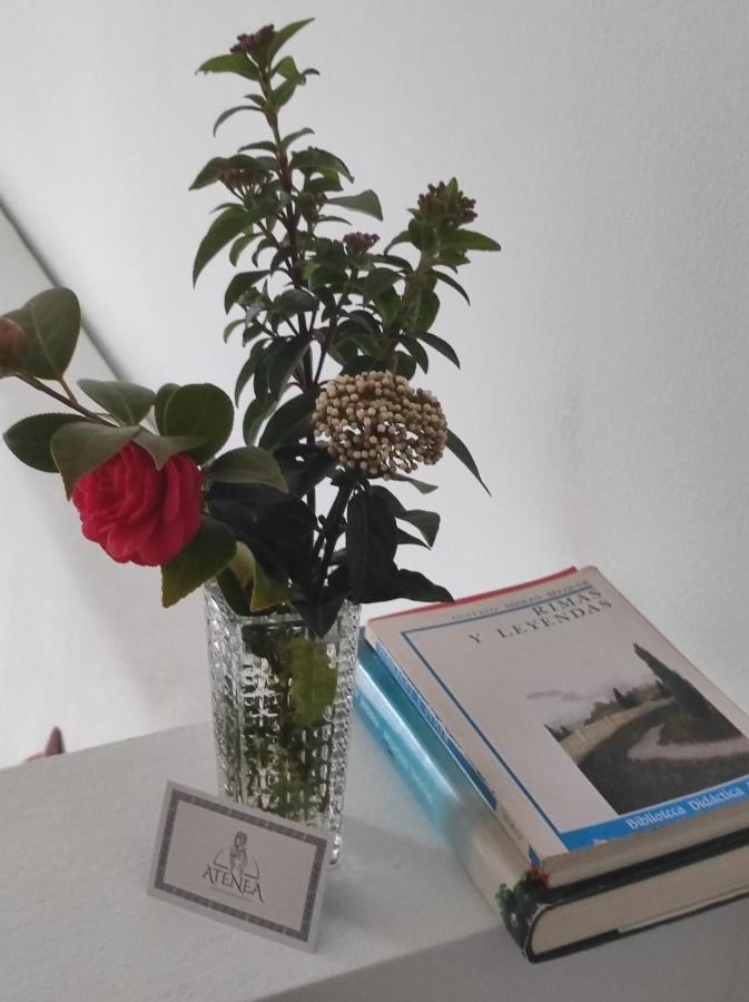 Apartamentos Atenea Jerte Εξωτερικό φωτογραφία
