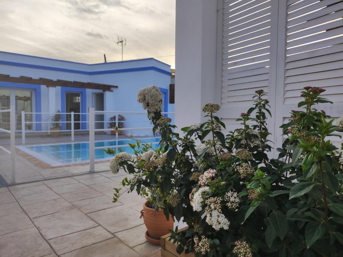 Apartamentos Atenea Jerte Εξωτερικό φωτογραφία